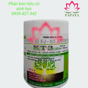 KT3 500gram