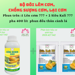 Bộ đôi lêm cơm,  chống sượng cơm, lại cơm