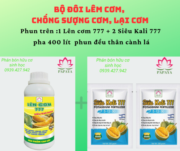 Bộ đôi lêm cơm,  chống sượng cơm, lại cơm