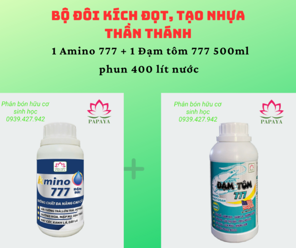 Bộ đôi kích đọt, tạo nhựa thần thánh