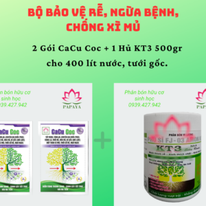 Bộ bảo vệ rễ, ngừa bệnh, chống xì mủ