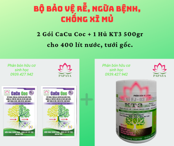 Bộ bảo vệ rễ, ngừa bệnh, chống xì mủ