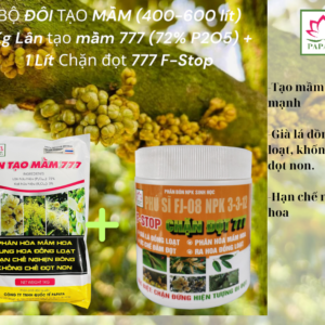 Bộ tạo mầm