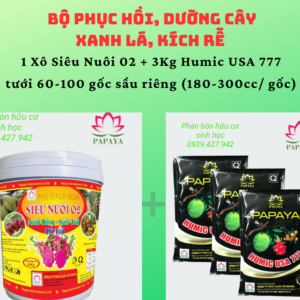Bộ phục hồi, dưỡng cây xanh lá, kích rễ