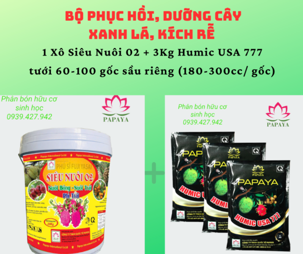 Bộ phục hồi, dưỡng cây xanh lá, kích rễ