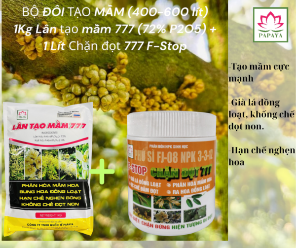 Bộ tạo mầm