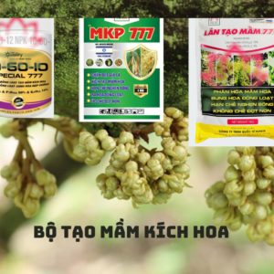 Bộ TẠO MẦM KÍCH HOA